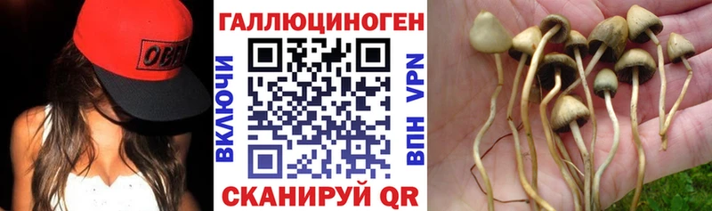 Галлюциногенные грибы MAGIC MUSHROOMS  Лукоянов 